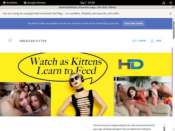 Americankittens Discount Registration