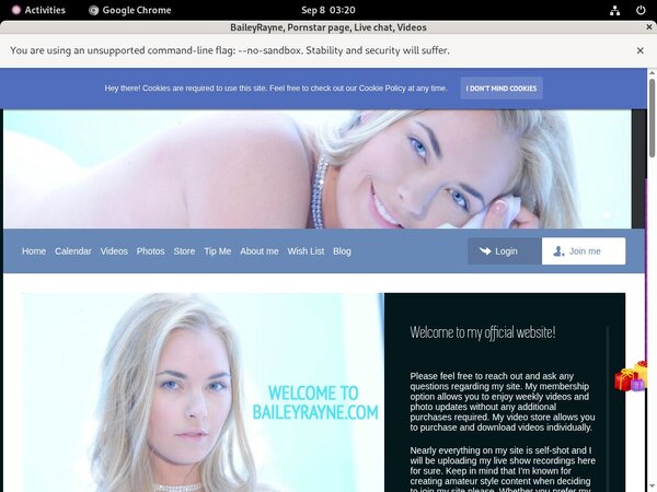 BaileyRayne Vendo Page