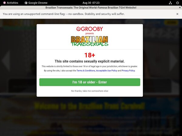 Brazilian-transsexuals.com Free Pron