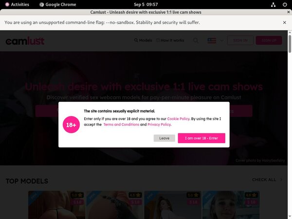Cam Lust Paypal Offer