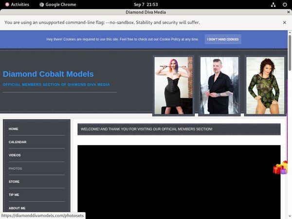 Diamonddivamodels.com Working Password