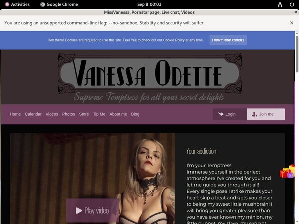 Discount Missvanessa.modelcentro.com Trial Link