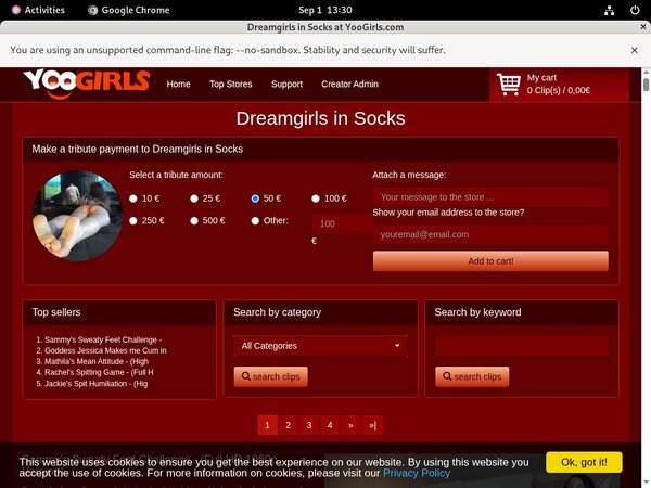DreamgirlsInSocks Vxsbill Page