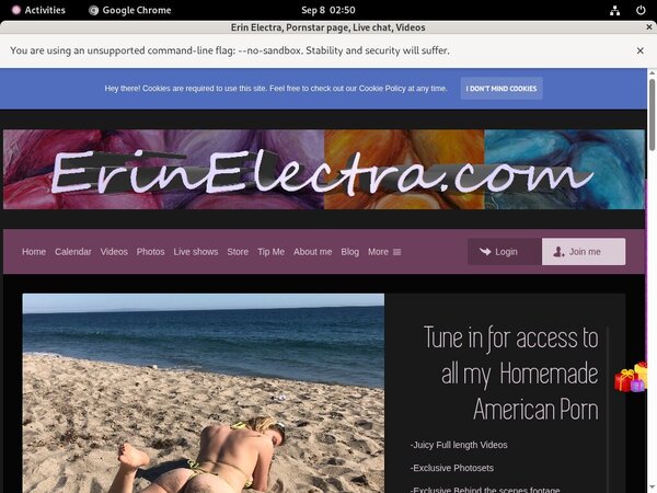 Erin Electra Porn Hd
