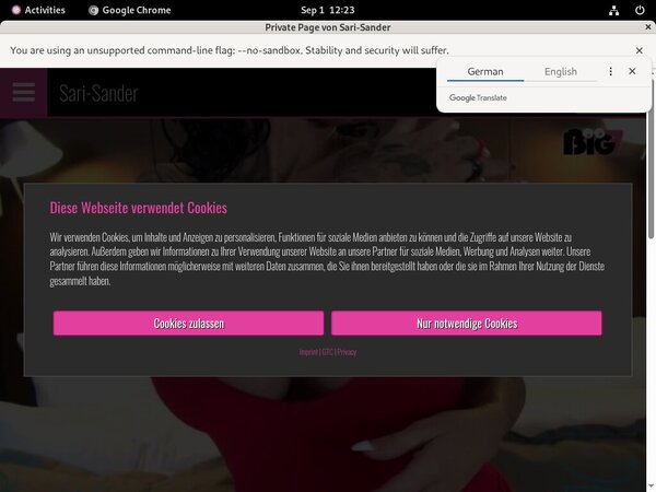 Free Sari-sander.com Trials Free Sari-sander.com Trials