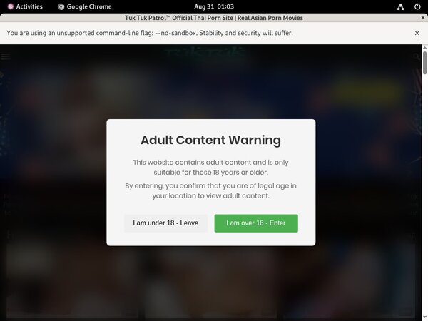 Free Tuk Tuk Patrol Logins