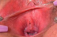Gape My Pussy Full Scene s0 Gape My Pussy Full Scene s0