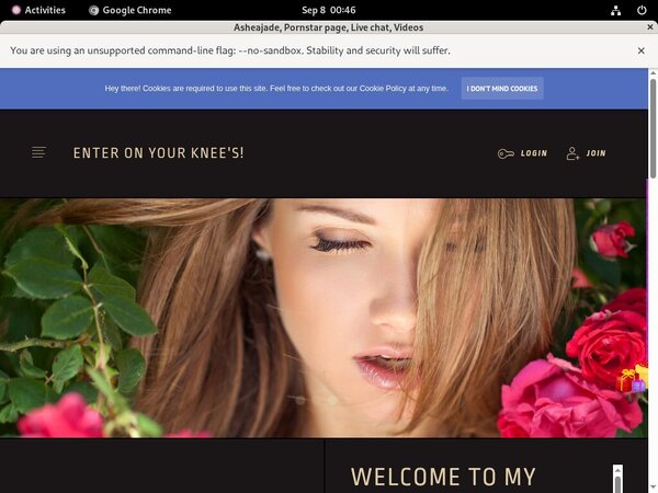 Get A Free Ashea.modelcentro.com Membership