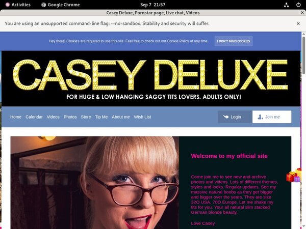 Get A Free Caseydeluxe.club Password