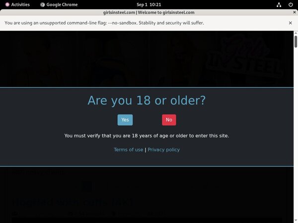 Girls In Steel Join Link