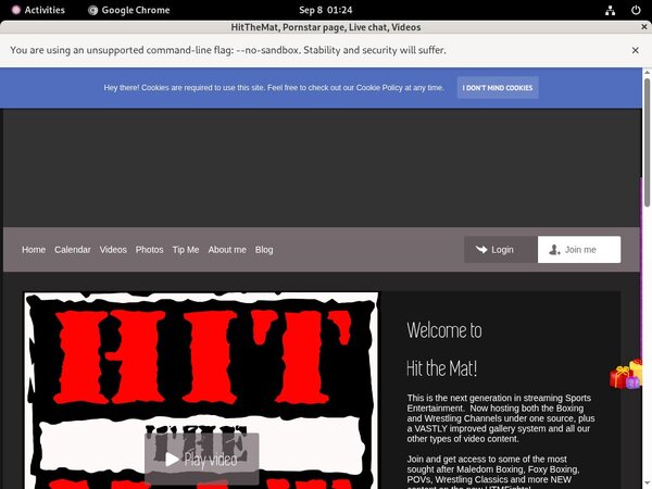 Hitthemat Paysite Passwords