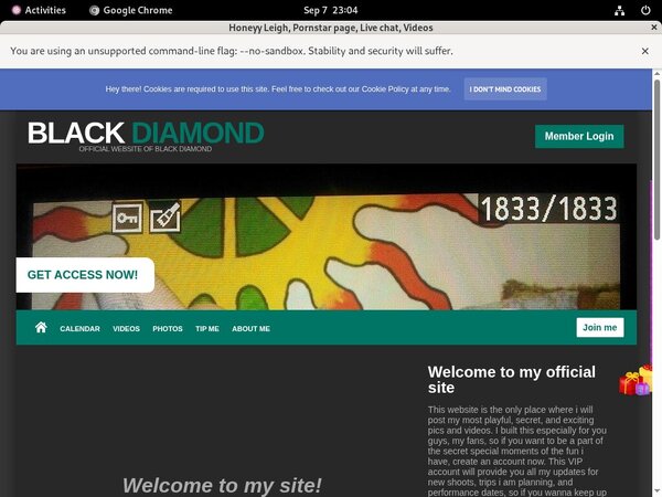 Honeyy Leigh Telephone Billing