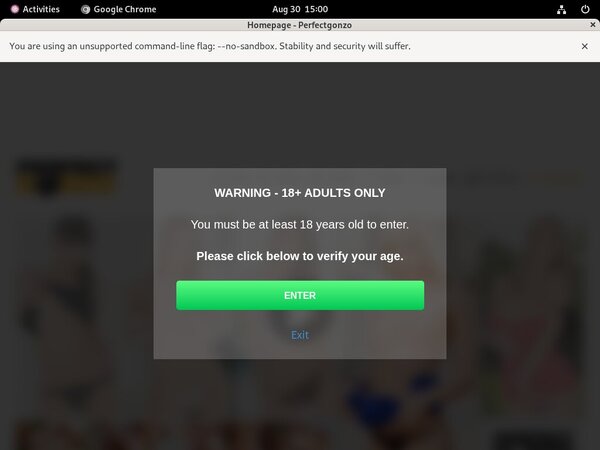 How To Get On Perfectgonzo.com For Free