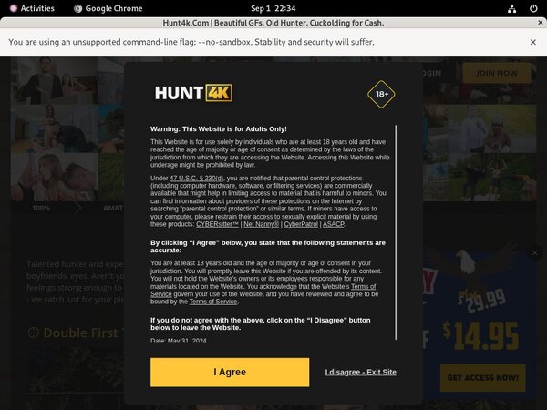 Hunt 4k Netbilling