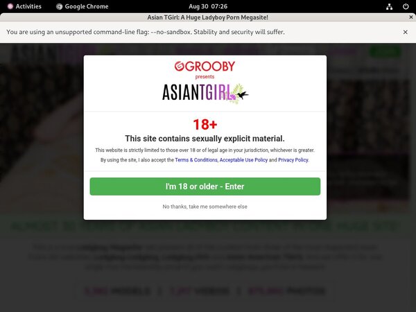 Ladyboyladyboy Free Tube