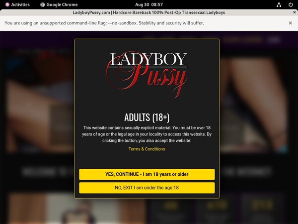 Ladyboypussy Discount Link Code