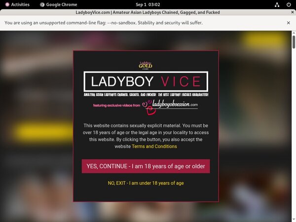[Image: Ladyboyvice-Join-Page.jpg]