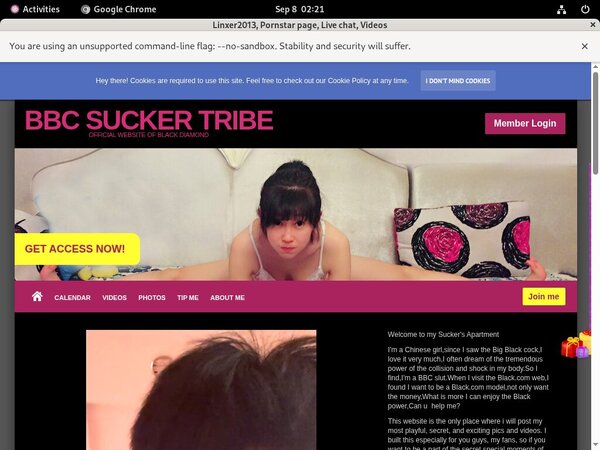 Linxer2013.modelcentro.com ??