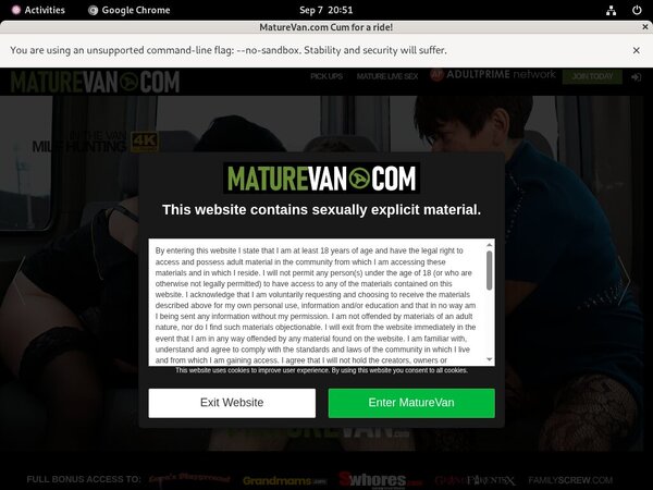 Mature Van Free Access