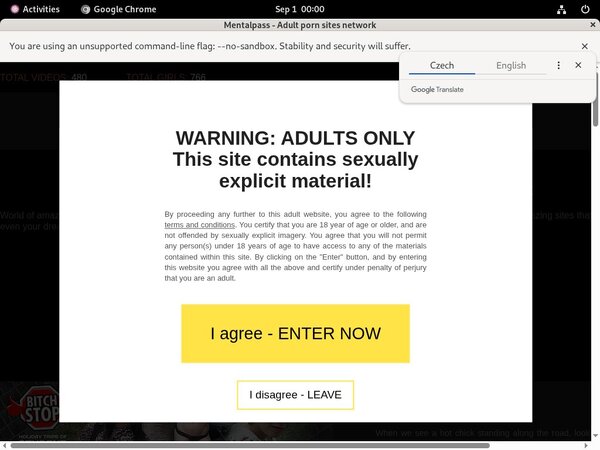 Mentalpass 2018 Free