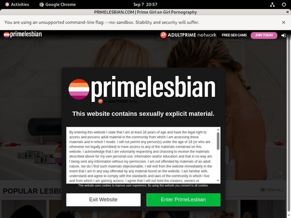 Primelesbian Films