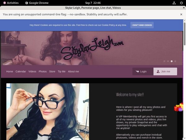 Skylarleigh.modelcentro.com Logins 2018