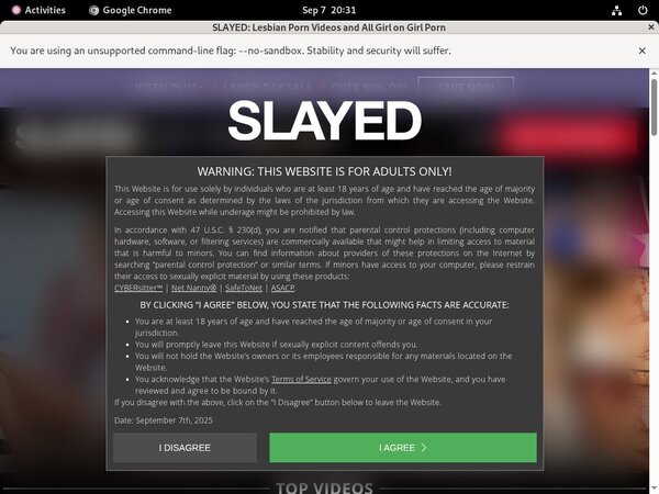 Slayed Full Site