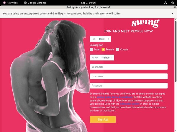 Swing.net Paypal Option