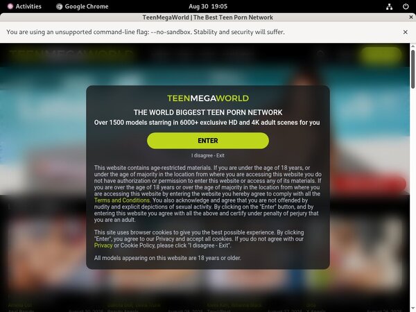 Teenmegaworld.net Preview