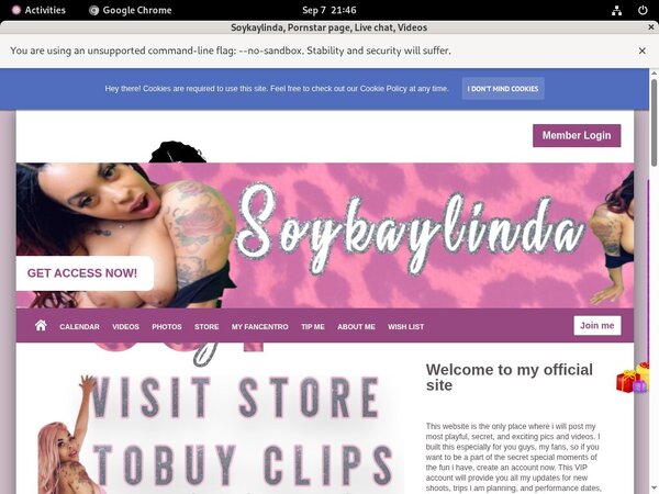 Trailer Soykaylinda