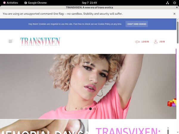 Transvixen Casting