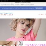 Transvixen Daily Accounts