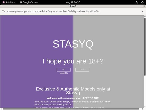 Username And Password For Stasyq