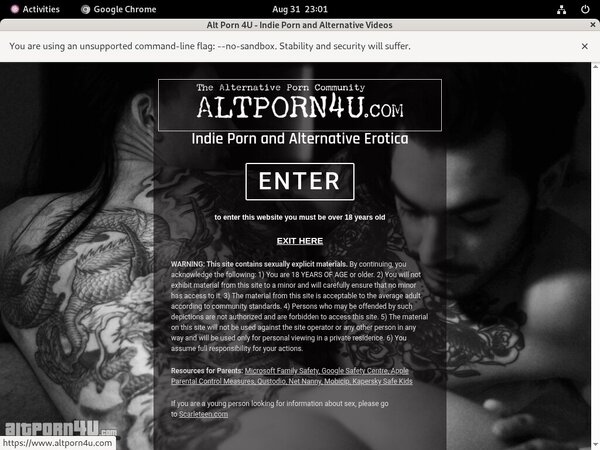 Valid Altporn4u.com Passwords