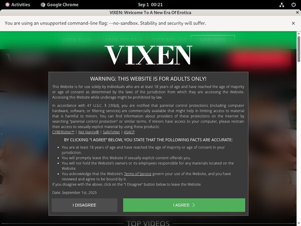 Vixen.com Movies Free