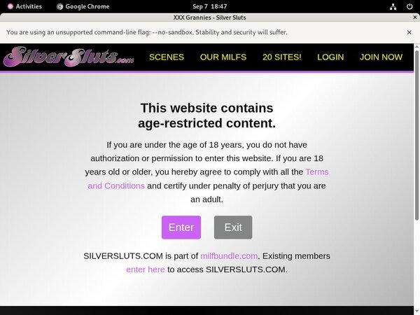 Working Silversluts Password Working Silversluts Password
