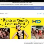 Americankittens Members Discount
